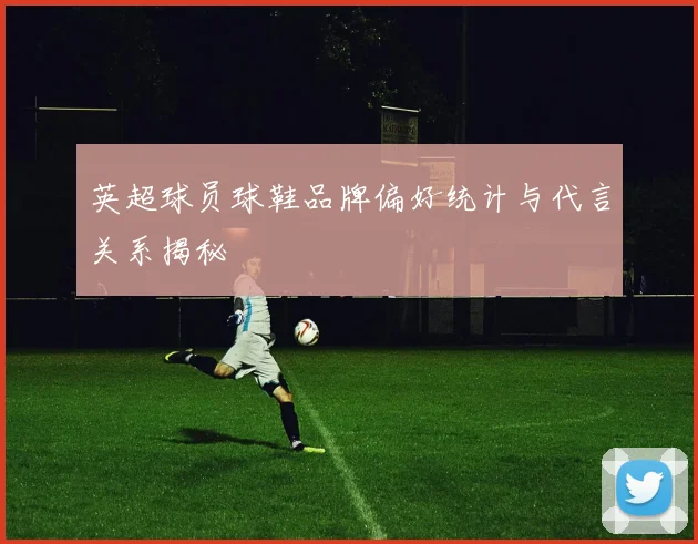 英超球员球鞋品牌偏好统计与代言关系揭秘