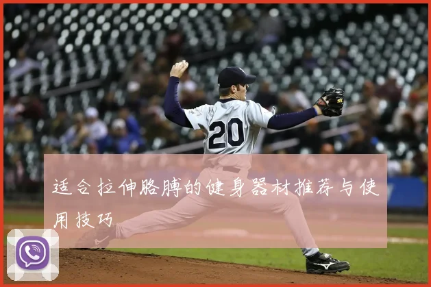 适合拉伸胳膊的健身器材推荐与使用技巧